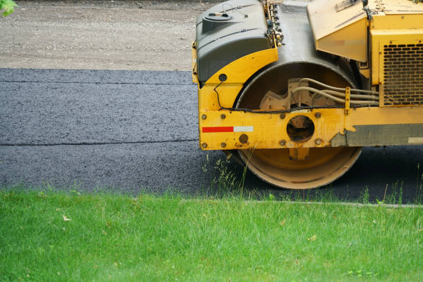 Best Local Driveway Pavers  in Edmore, MI